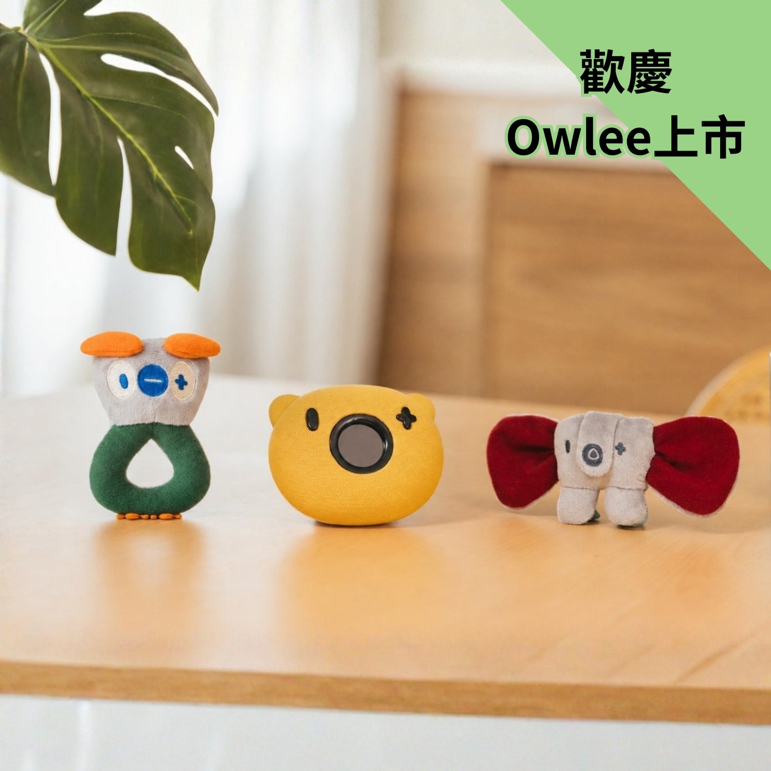 Pixsee Wonders 冥想+科普套組